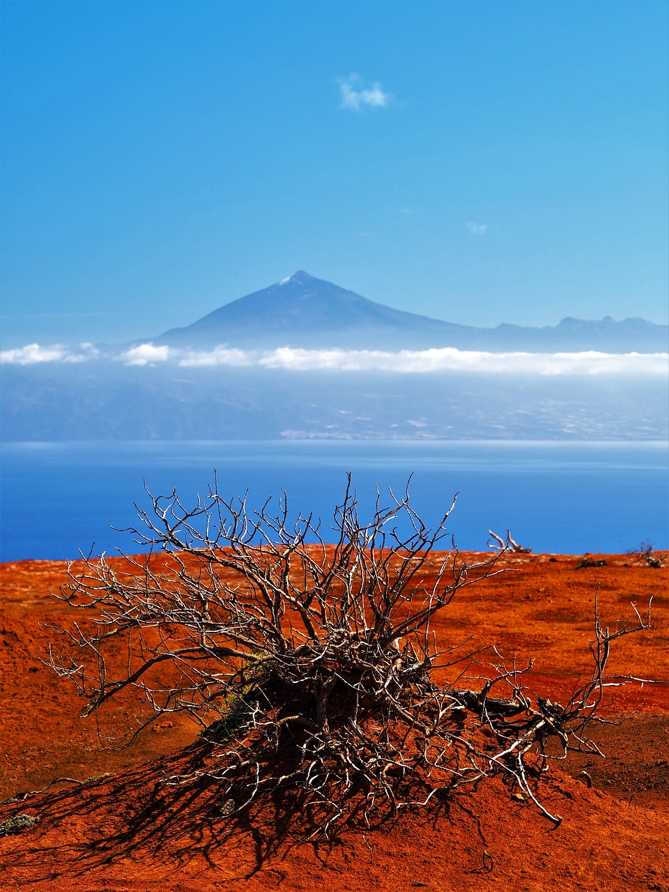 Illustration Tenerife Spain